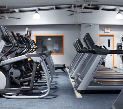 Rows of Matrix treadmills and elliptical machines inside The Workout Club’s modern cardio training zone.